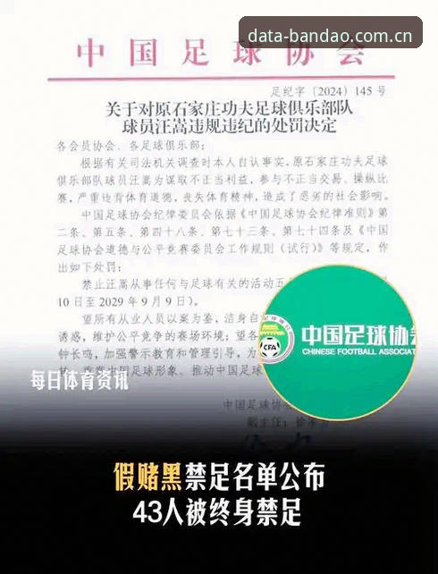 半岛体育高效工具功能详解 中国足协第三批禁足名单全面解析:从半岛体育平台视角看行业整顿深度影响